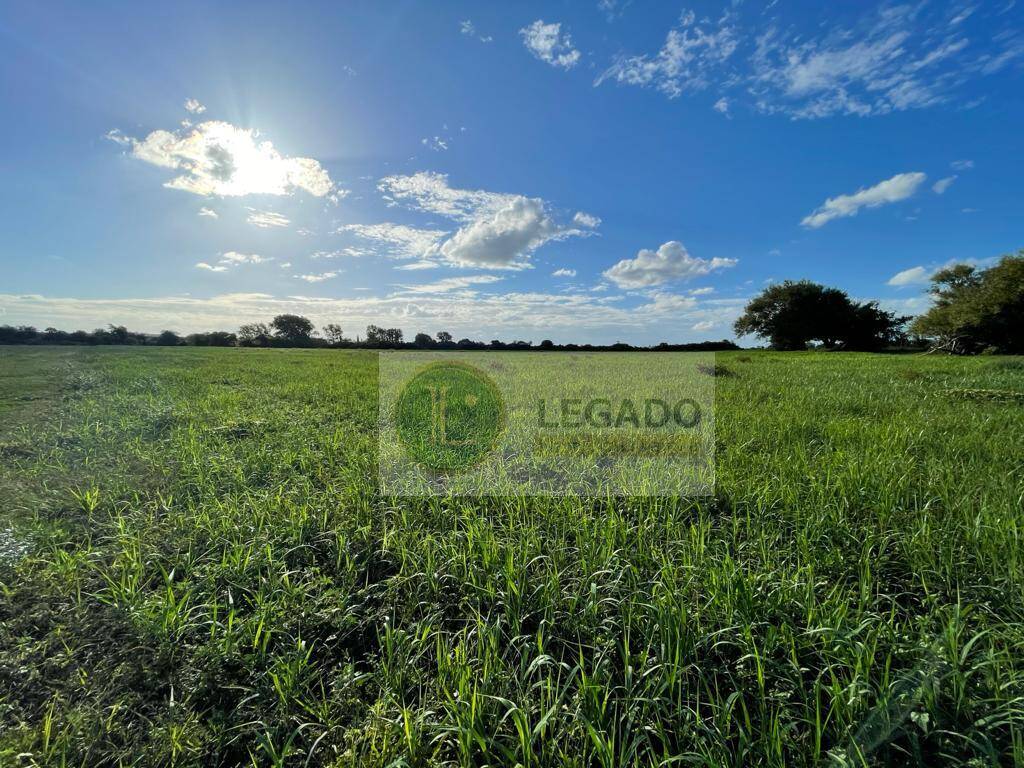 #677 - Quinta para Venta en Canelones - UY-CA