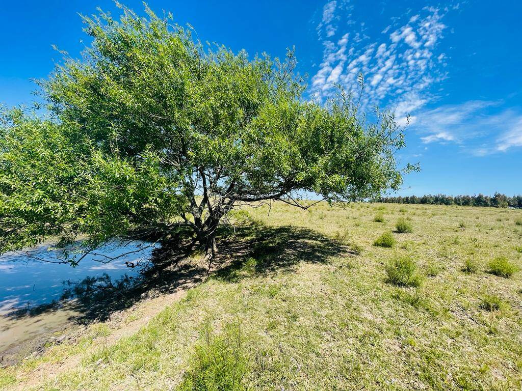 #760 - Quinta para Venta en Atlántida - UY-CA