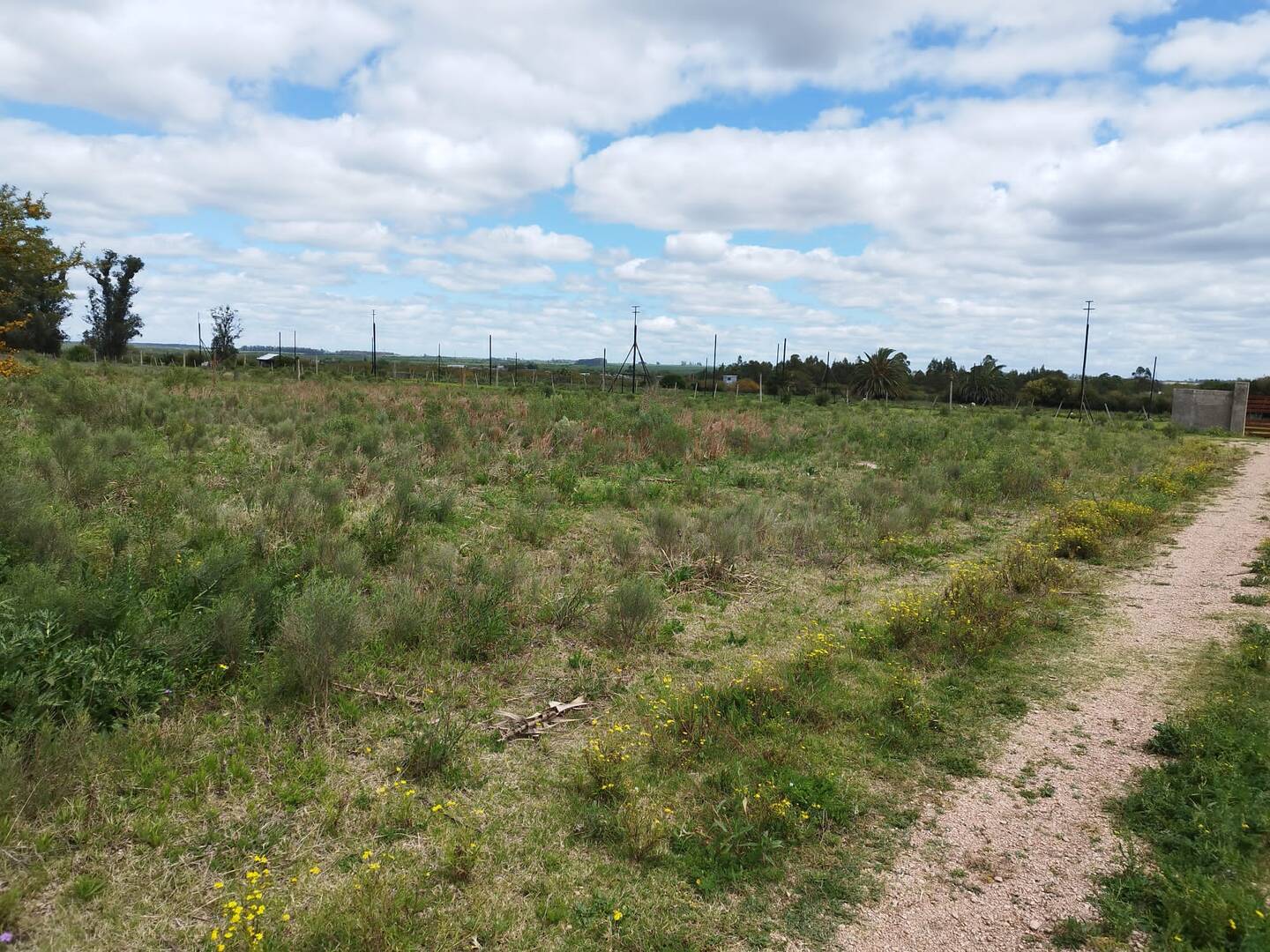 #1019 - Área para Venta en Canelones - UY-CA