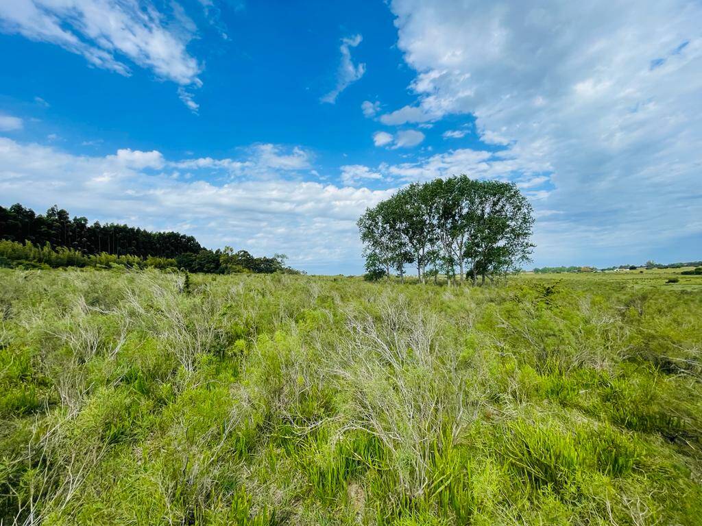 #1047 - Hacienda para Venta en Atlántida - UY-CA