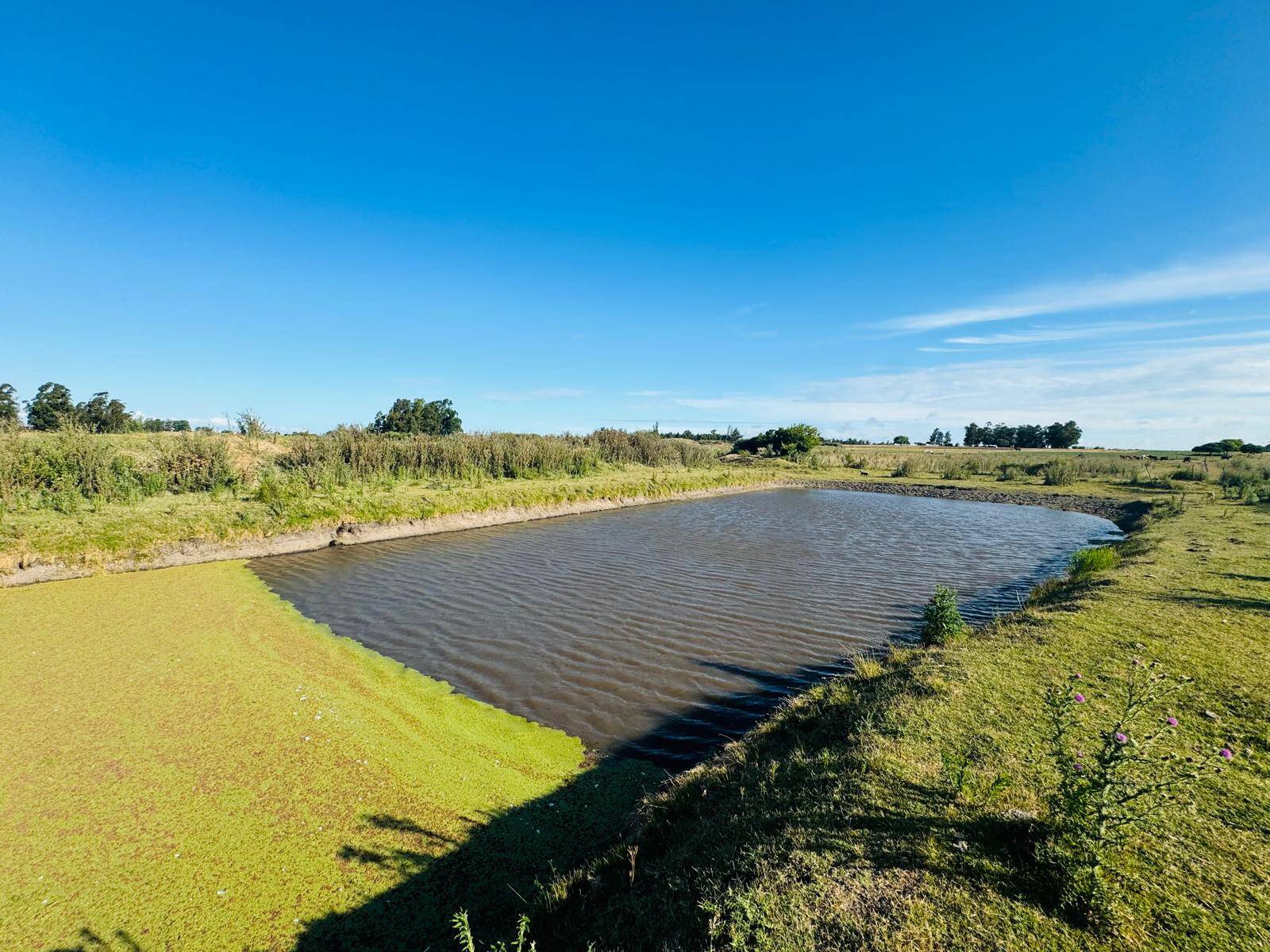 #1307 - Quinta para Venta en San Jacinto - UY-CA