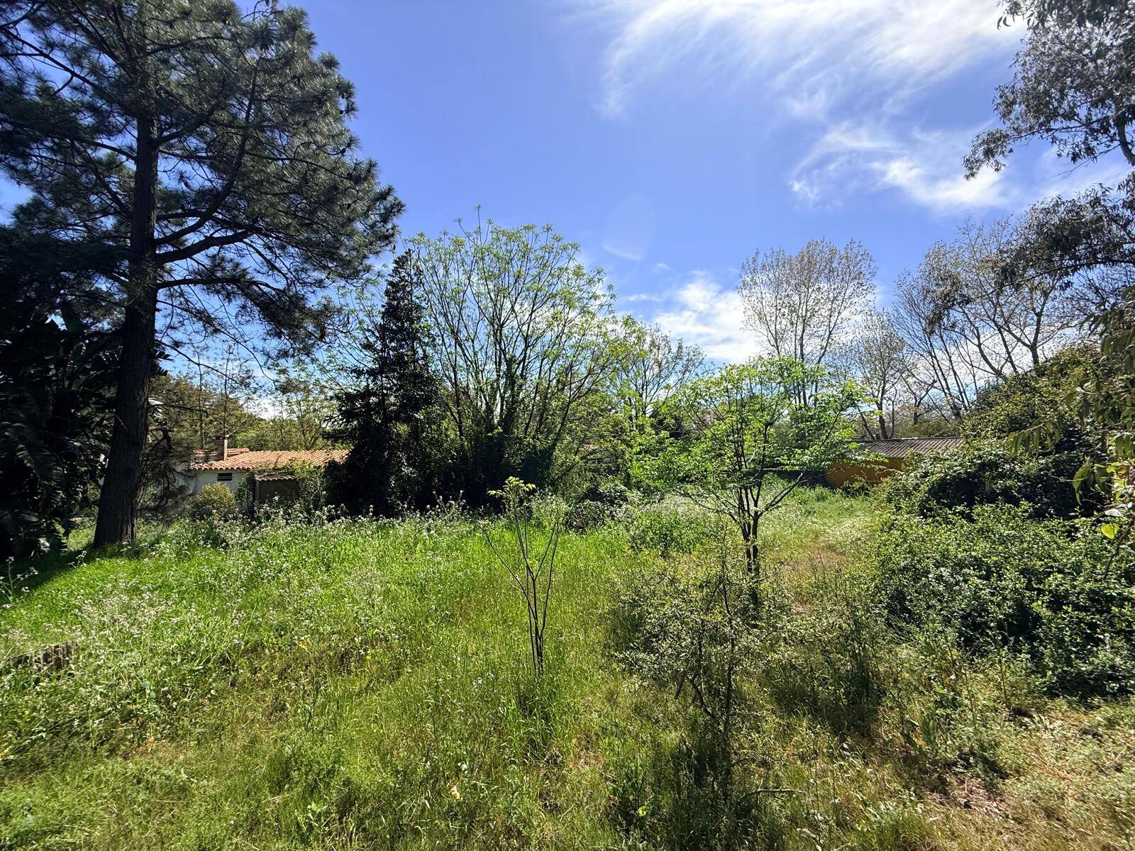 #1449 - Área para Venta en Las Toscas - UY-CA