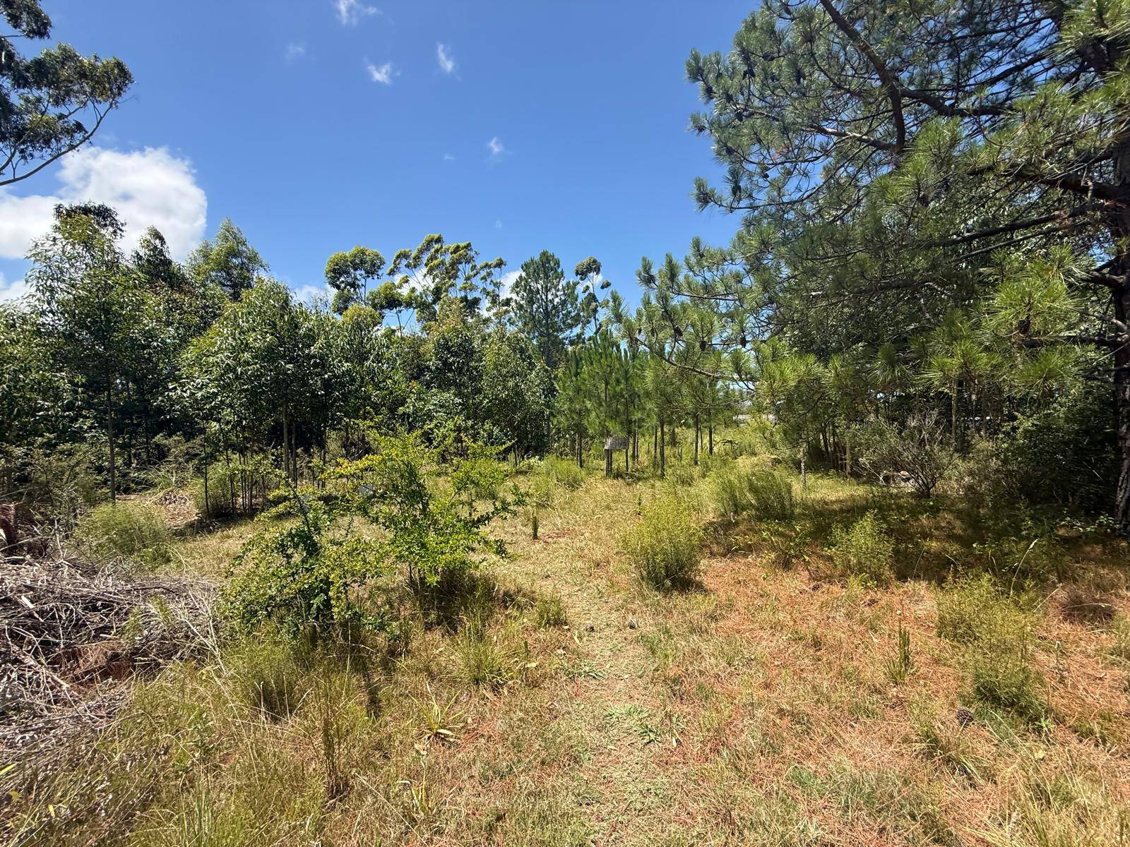 #1500 - Área para Venta en Balneario San Luis - UY-CA