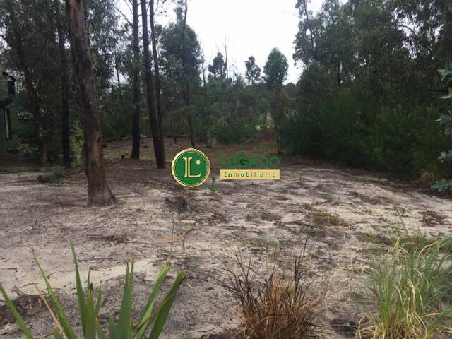 #408 - Área para Venta en Atlántida - UY-CA - 1