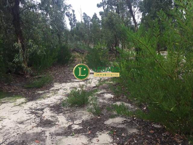 #408 - Área para Venta en Atlántida - UY-CA - 2