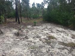 Área para Venta en Atlántida - 4
