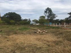 #449 - Terreno para Venta en La Floresta - UY-CA - 2