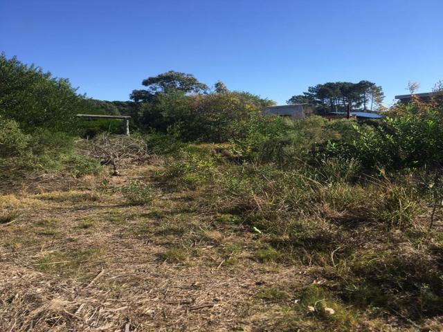 #967 - Terreno para Venta en La Floresta - UY-CA - 2