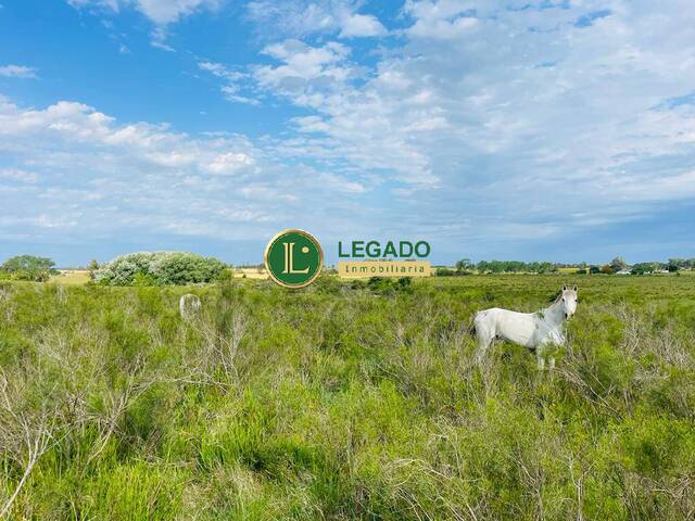 #1047 - Hacienda para Venta en Atlántida - UY-CA - 3