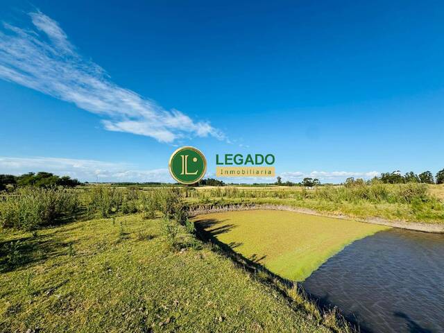 #1307 - Quinta para Venta en San Jacinto - UY-CA - 2
