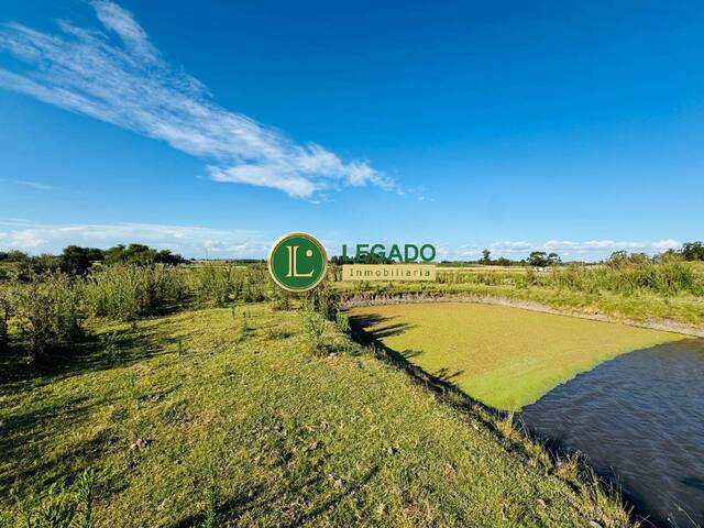 #1307 - Quinta para Venta en San Jacinto - UY-CA - 3