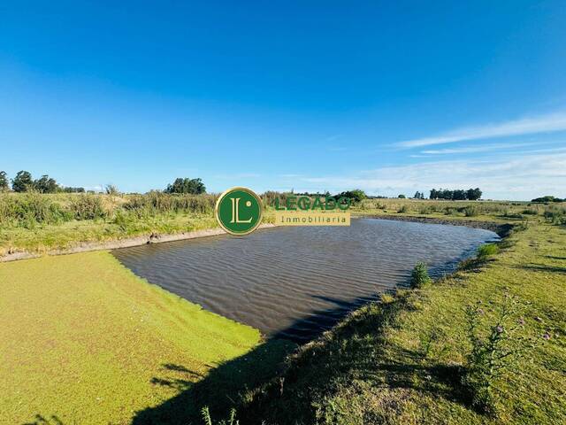 #1307 - Quinta para Venta en San Jacinto - UY-CA - 1
