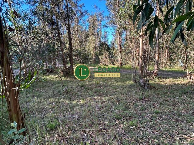 #1374 - Área para Venta en Atlántida - UY-CA - 3