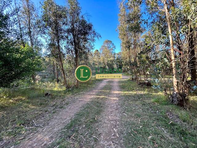 #1374 - Área para Venta en Atlántida - UY-CA - 2