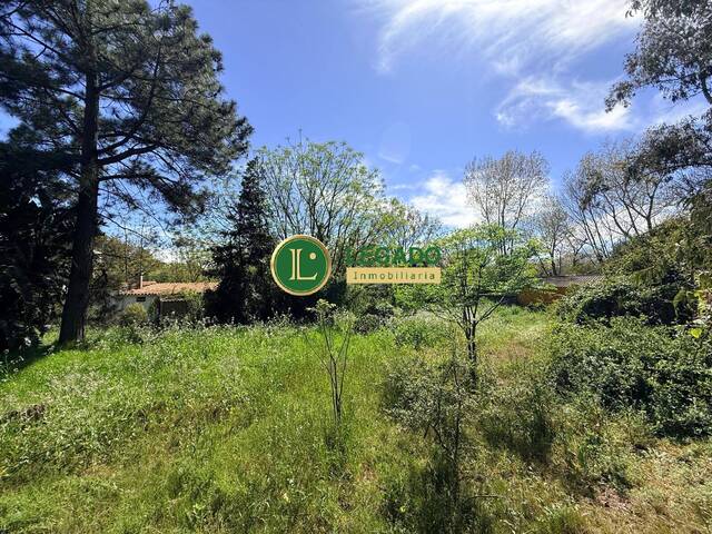 #1449 - Área para Venta en Las Toscas - UY-CA - 1