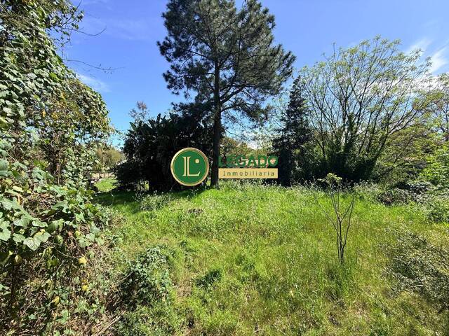 #1449 - Área para Venta en Las Toscas - UY-CA - 3