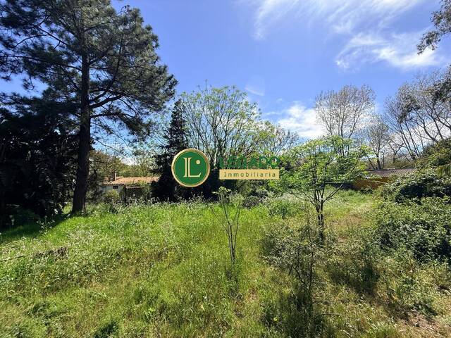 Área para Venta en Las Toscas - 4