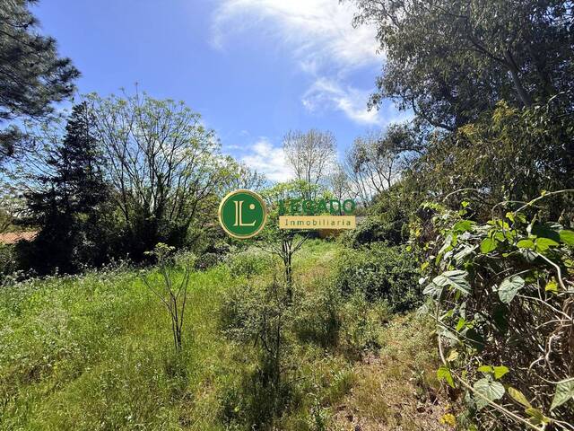 Área para Venta en Las Toscas - 5