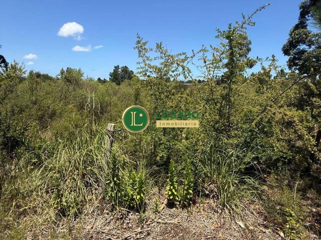 #1500 - Área para Venta en Balneario San Luis - UY-CA - 3