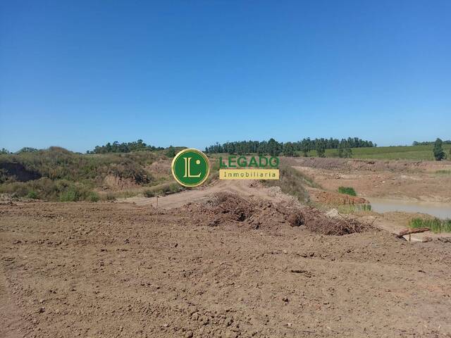 #1510 - Quinta para Venta en Soca - UY-CA - 3