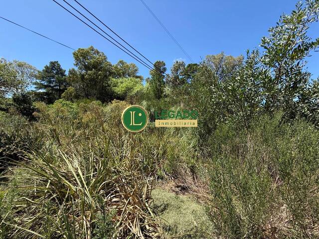 #1522 - Área para Venta en Parque del Plata - UY-CA - 3