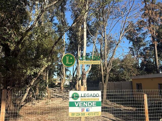 Área para Venta en Atlántida - 5